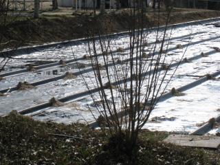 Busqueda en PREOC | preoc.es