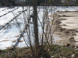 Busqueda en PREOC | preoc.es