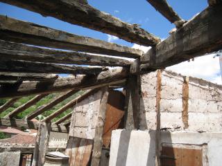 IMG_3029.JPG