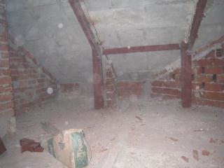 IMG_7291.JPG