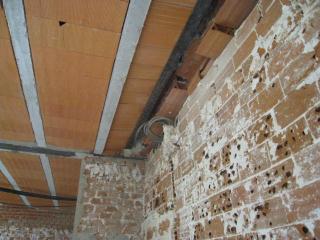 IMG_4769.JPG
