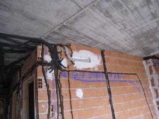 IMG_9309.JPG