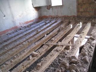 IMG_1858.JPG