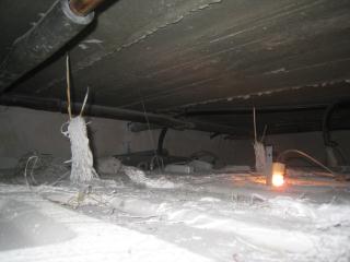 IMG_7177.JPG