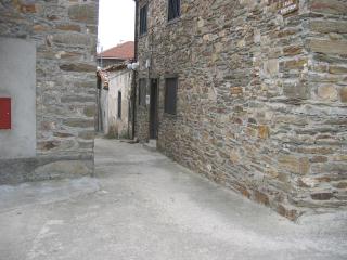 254_5453.JPG