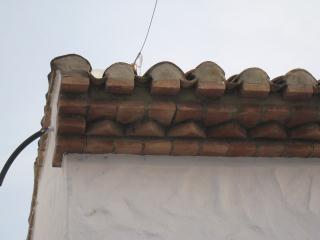 IMG_9809.JPG
