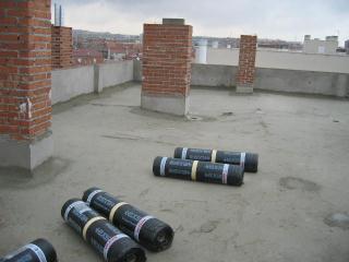 IMG_2793.jpg