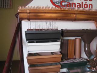 IMG_5370.JPG