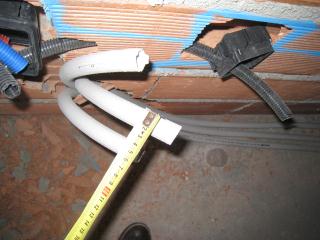 IMG_8446.JPG