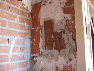 IMG_2659.jpg
