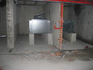 IMG_3893.JPG