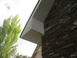 IMG_7883.JPG