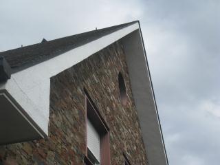IMG_7889.JPG
