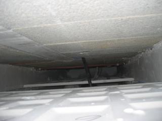 306_0601.JPG