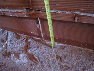 IMG_9754.JPG