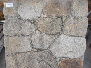 CIMG0943.JPG