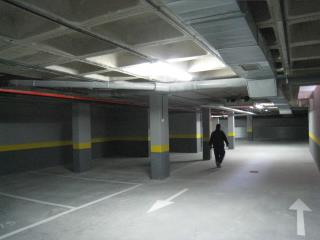 IMG_1173.JPG