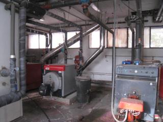 IMG_5487.JPG