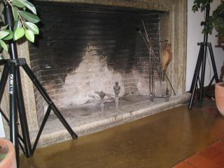 IMG_3569.JPG
