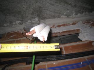 IMG_9318.JPG