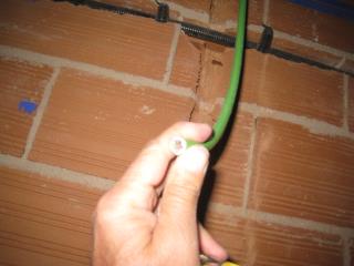 IMG_9321.JPG